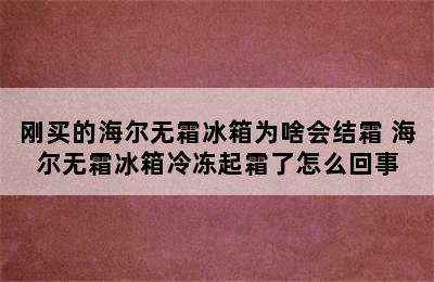 刚买的海尔无霜冰箱为啥会结霜 海尔无霜冰箱冷冻起霜了怎么回事